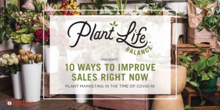 5 Ways That Garden Centres Can Generate Digital Awareness in Australia