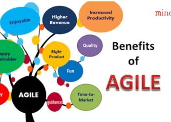 Al Sollami on Agile Management in Uncertain Markets