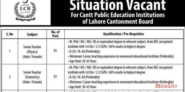 Cantt Public Educational Institute Teaching Jobs 2025 Latest Advertisement