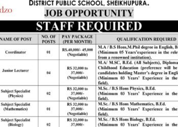 District Public School DPS Latest Jobs 2025 Subject Specialist & Lecturers