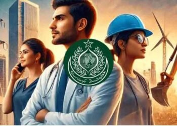 Here is How to apply for jobs using Sindh’s new job portal