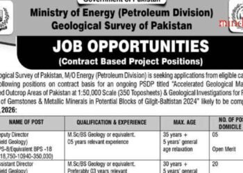 Ministry of Energy Jobs 2025 Latest Advertisement Online Apply
