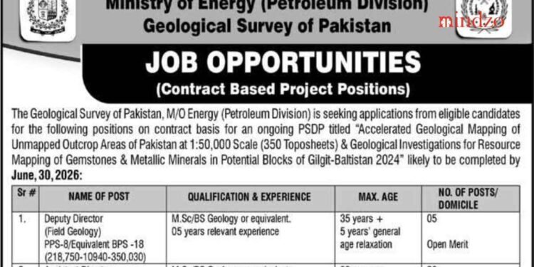 Ministry of Energy Jobs 2025 Latest Advertisement Online Apply