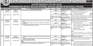 PPSC Jobs 2025 Latest Advertisement 08 Online Apply