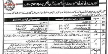 Punjab Police SPU Jobs 2025 Advertisement Application Forms