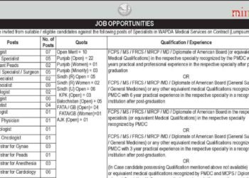 WAPDA Jobs 2025 Latest Advertisement Online Apply