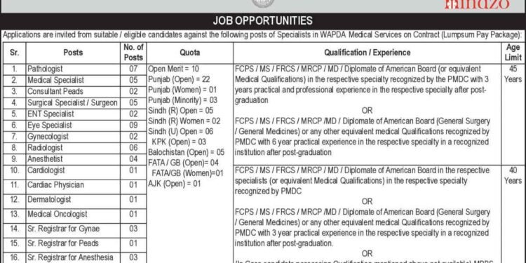 WAPDA Jobs 2025 Latest Advertisement Online Apply