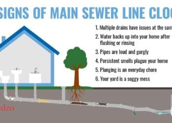 What Causes Sewage Leaks and How to Professionally Resolve it