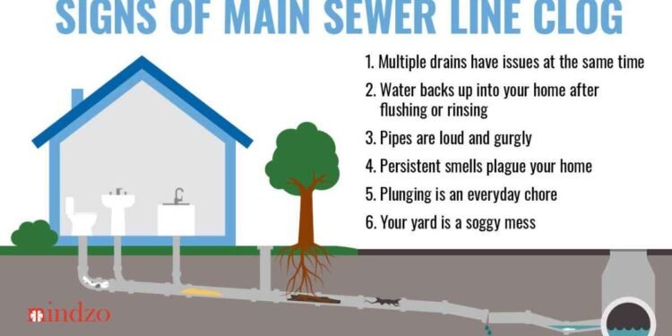 What Causes Sewage Leaks and How to Professionally Resolve it