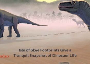 Isle of Skye Footprints Give a Tranquil Snapshot of Dinosaur Life