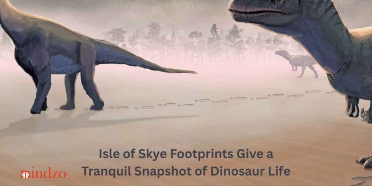 Isle of Skye Footprints Give a Tranquil Snapshot of Dinosaur Life