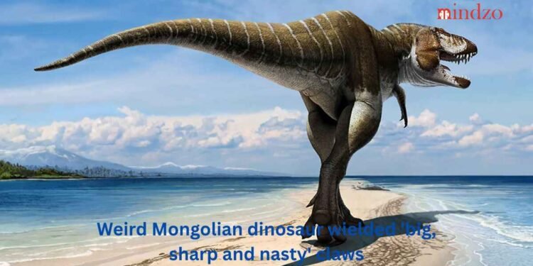Weird Mongolian dinosaur wielded 'big, sharp and nasty' claws
