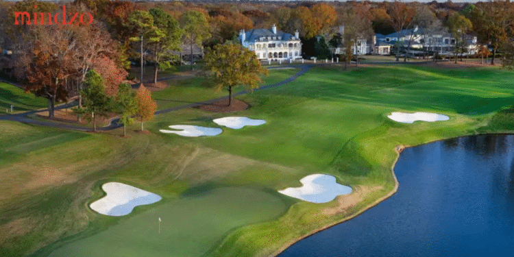 Schedule Players & Predictions