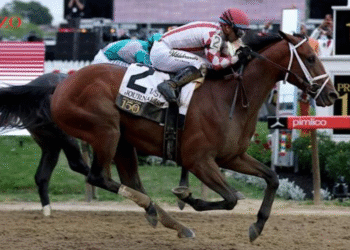 Date Location Events & More