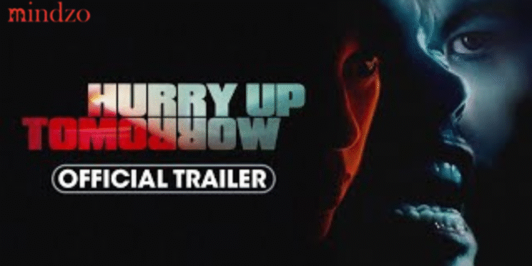 Full Review and Insights